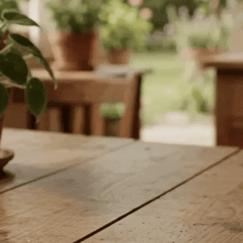 TierraJoven® · Minerales para plantas