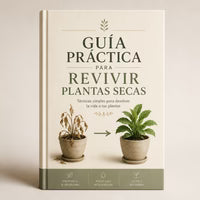 Guía para revivir plantas secas